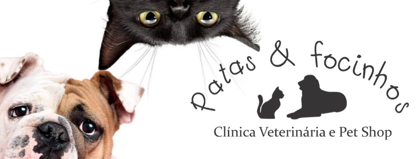 Clínica Veterinária Patas & Focinhos em Lages - Guia Múltiplo
